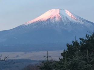 富士山がきれいに見えます